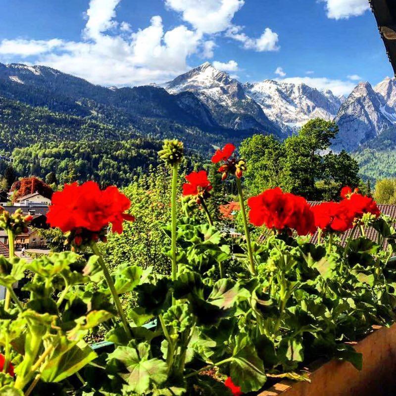 Отель Gastehaus Hohe Tannen Гармиш-Партенкирхен Экстерьер фото